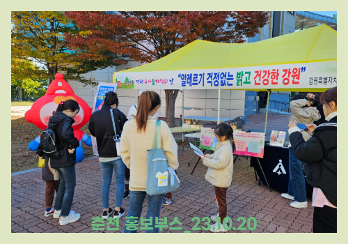 갤러리
